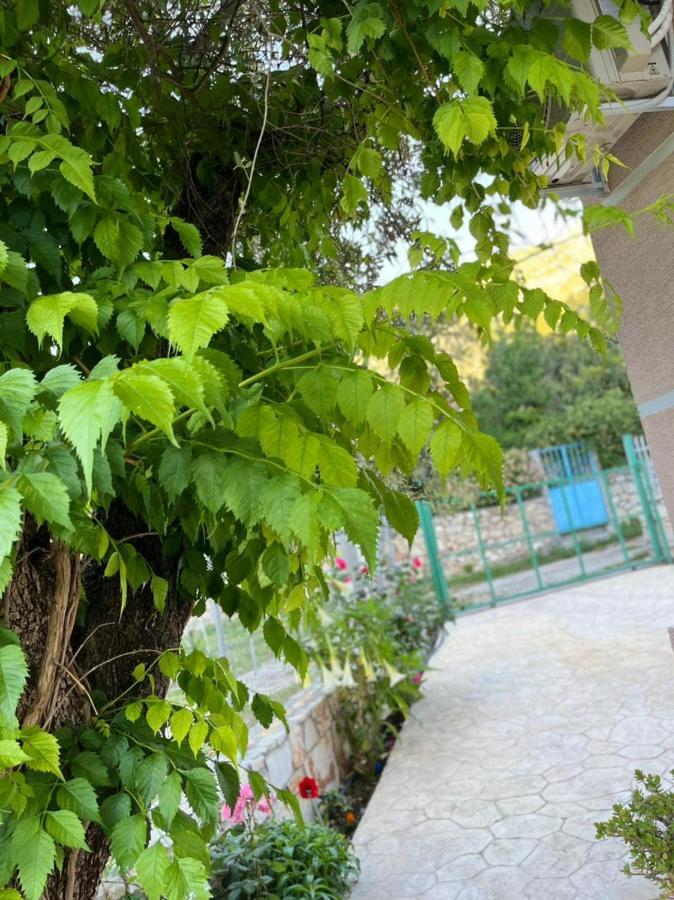 Vila Noga ボルシュ エクステリア 写真