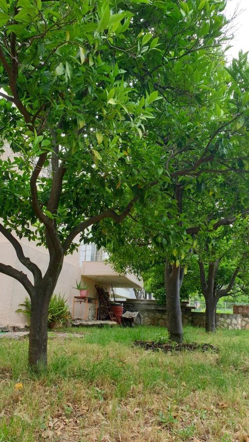 Vila Noga ボルシュ エクステリア 写真